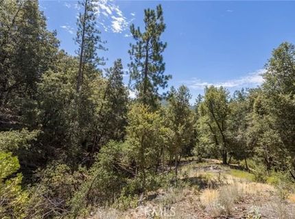 8 N Cedar Vista Cir N, Bass Lake, CA 93604 Photo