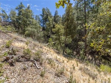 8 N Cedar Vista Cir N, Bass Lake, CA 93604 Photo