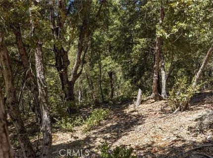 8 N Cedar Vista Cir N, Bass Lake, CA 93604 Photo