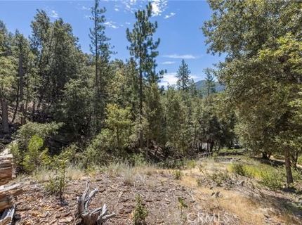 8 N Cedar Vista Cir N, Bass Lake, CA 93604 Photo