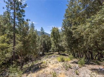8 N Cedar Vista Cir N, Bass Lake, CA 93604 Photo