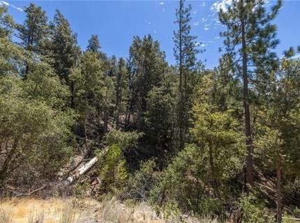8 N Cedar Vista Cir N, Bass Lake, CA 93604 Photo