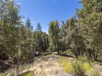 8 N Cedar Vista Cir N, Bass Lake, CA 93604 Photo