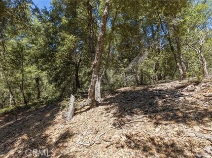 8 N Cedar Vista Cir N, Bass Lake, CA 93604 Photo
