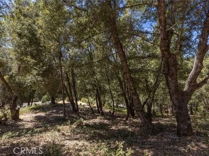 8 N Cedar Vista Cir N, Bass Lake, CA 93604 Photo