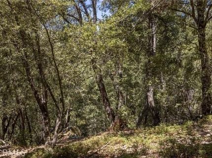 8 N Cedar Vista Cir N, Bass Lake, CA 93604 Photo