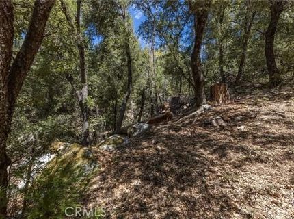 8 N Cedar Vista Cir N, Bass Lake, CA 93604 Photo