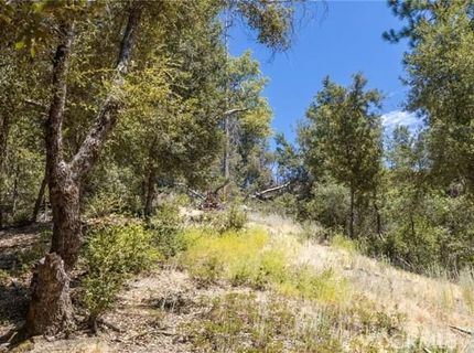 8 N Cedar Vista Cir N, Bass Lake, CA 93604 Photo
