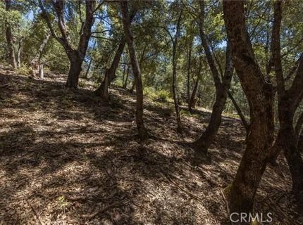 8 N Cedar Vista Cir N, Bass Lake, CA 93604 Photo
