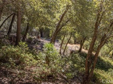 8 N Cedar Vista Cir N, Bass Lake, CA 93604 Photo
