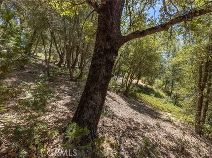 8 N Cedar Vista Cir N, Bass Lake, CA 93604 Photo