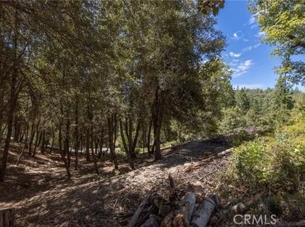 8 N Cedar Vista Cir N, Bass Lake, CA 93604 Photo
