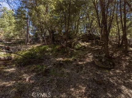 8 N Cedar Vista Cir N, Bass Lake, CA 93604 Photo