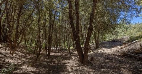 8 N Cedar Vista Cir N, Bass Lake, CA 93604 Photo