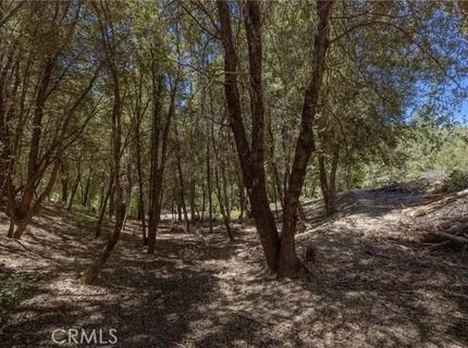 8 N Cedar Vista Cir N, Bass Lake, CA 93604 Photo