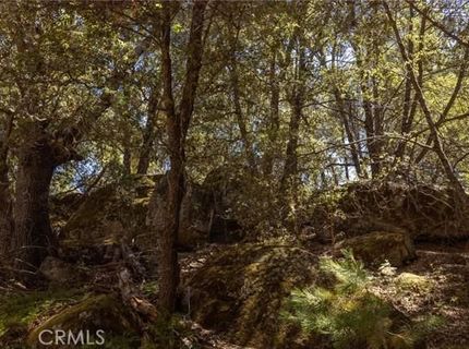 8 N Cedar Vista Cir N, Bass Lake, CA 93604 Photo