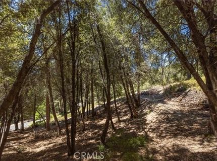 8 N Cedar Vista Cir N, Bass Lake, CA 93604 Photo