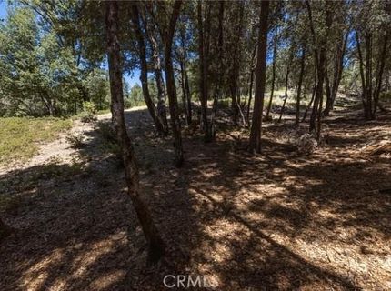 8 N Cedar Vista Cir N, Bass Lake, CA 93604 Photo