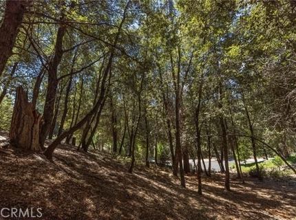 8 N Cedar Vista Cir N, Bass Lake, CA 93604 Photo
