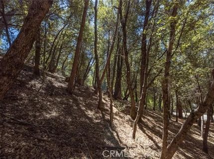 8 N Cedar Vista Cir N, Bass Lake, CA 93604 Photo