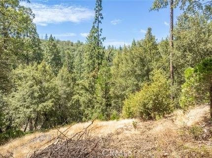 8 N Cedar Vista Cir N, Bass Lake, CA 93604 Photo