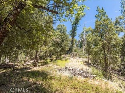 8 N Cedar Vista Cir N, Bass Lake, CA 93604 Photo