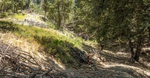 8 N Cedar Vista Cir N, Bass Lake, CA 93604 Photo