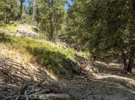 8 N Cedar Vista Cir N, Bass Lake, CA 93604 Photo