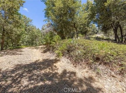 8 N Cedar Vista Cir N, Bass Lake, CA 93604 Photo