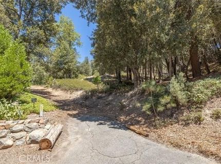 8 N Cedar Vista Cir N, Bass Lake, CA 93604 Photo