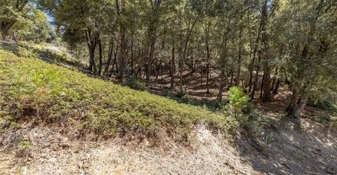 8 N Cedar Vista Cir N, Bass Lake, CA 93604 Photo
