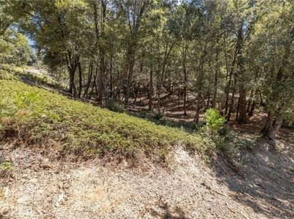 8 N Cedar Vista Cir N, Bass Lake, CA 93604 Photo