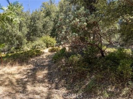 8 N Cedar Vista Cir N, Bass Lake, CA 93604 Photo