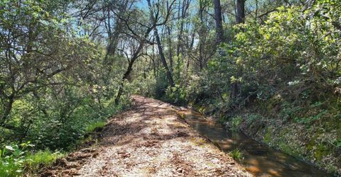 11290 Township Rd, Browns Valley, CA 95918 Photo