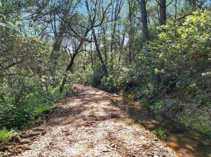 11290 Township Rd, Browns Valley, CA 95918 Photo