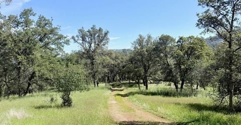 11290 Township Rd, Browns Valley, CA 95918 Photo