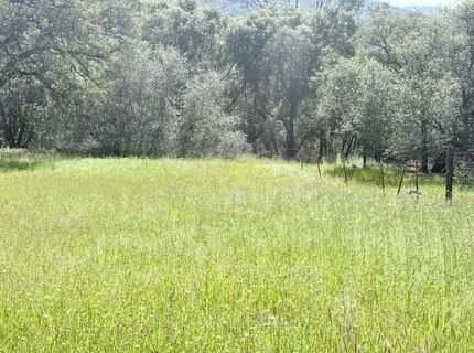 11290 Township Rd, Browns Valley, CA 95918 Photo