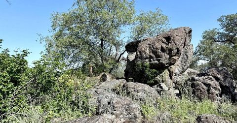 11290 Township Rd, Browns Valley, CA 95918 Photo