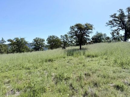 11290 Township Rd, Browns Valley, CA 95918 Photo