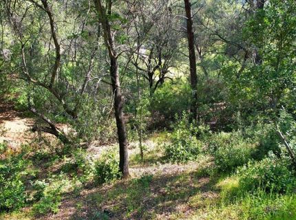 11290 Township Rd, Browns Valley, CA 95918 Photo