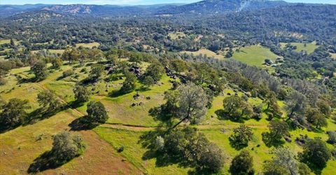 11290 Township Rd, Browns Valley, CA 95918 Photo