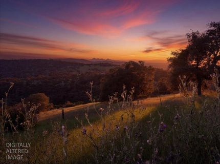 11290 Township Rd, Browns Valley, CA 95918 Photo