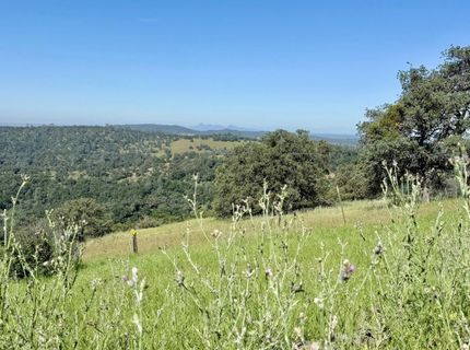 11290 Township Rd, Browns Valley, CA 95918 Photo