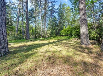 26270 Green Acres Rd, Colfax, CA 95713 Photo