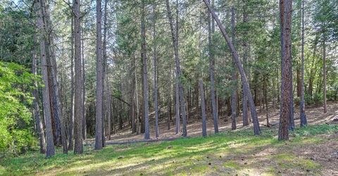 26270 Green Acres Rd, Colfax, CA 95713 Photo