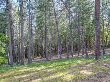 26270 Green Acres Rd, Colfax, CA 95713 Photo