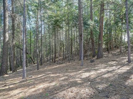 26270 Green Acres Rd, Colfax, CA 95713 Photo