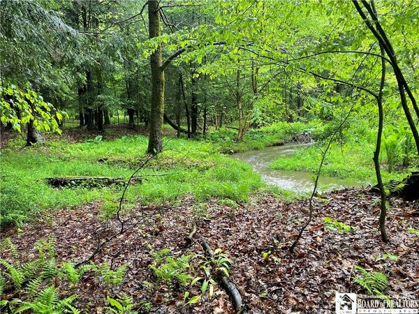 0 Walker Road, Bemus Point, NY 14712