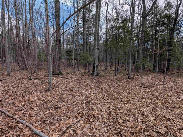 Map 41 Lot 21 Jewett Road, Weare, NH 03281