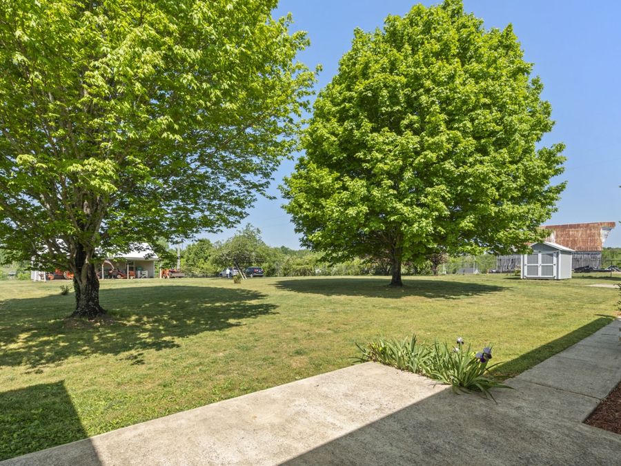 Property Image 43